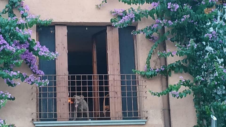 Holiday House Camillina Salo Ngoại thất bức ảnh